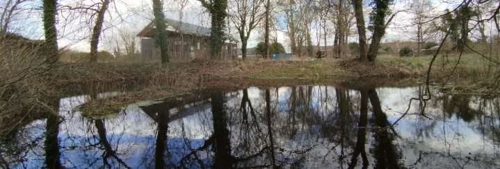 Étang du parc bordé d'arbres