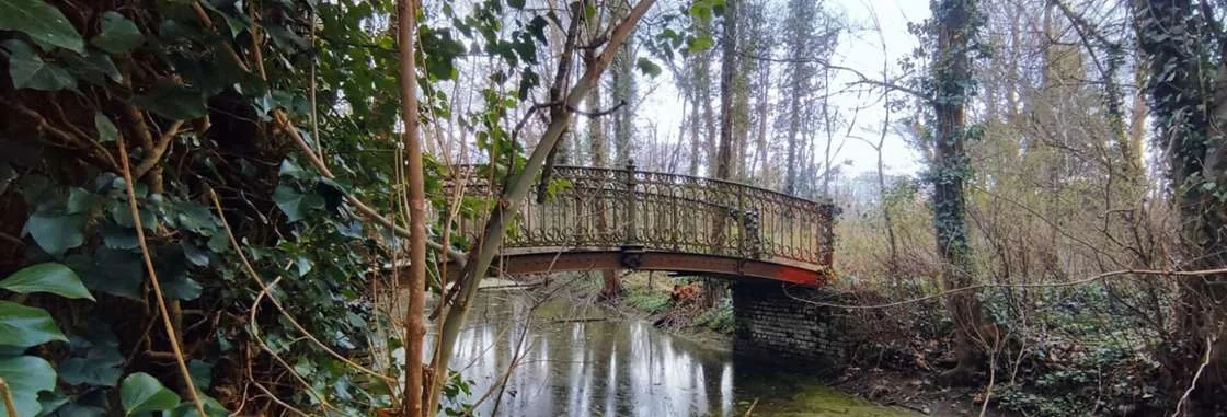 Pont au-dessus d'un canal entre les îlots boisés