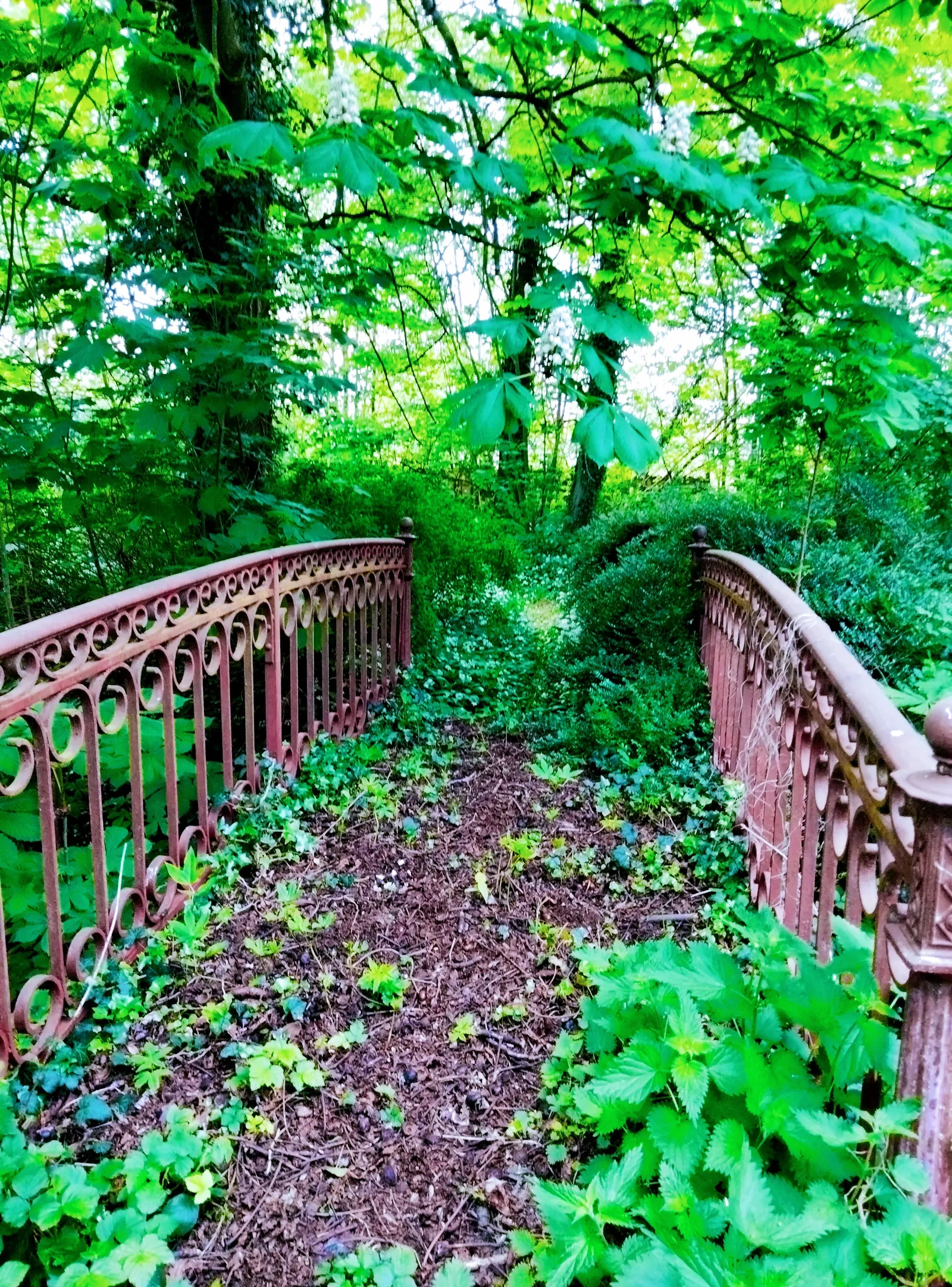 Petit pont en fer forgé envahi de verdure dans le parc